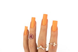 M04 - DREAMSICLE TRIO
